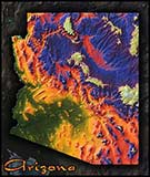 Topographic Physical Wall Map of Arizona