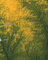Detail View of Map No. NJ690 (2 of 2)
