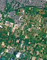 Detail View of Map No. TORNT991 (2 of 2)