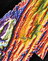 Detail View of Map No. WV690 (2 of 2)